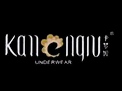 卡梦奴内衣加盟费