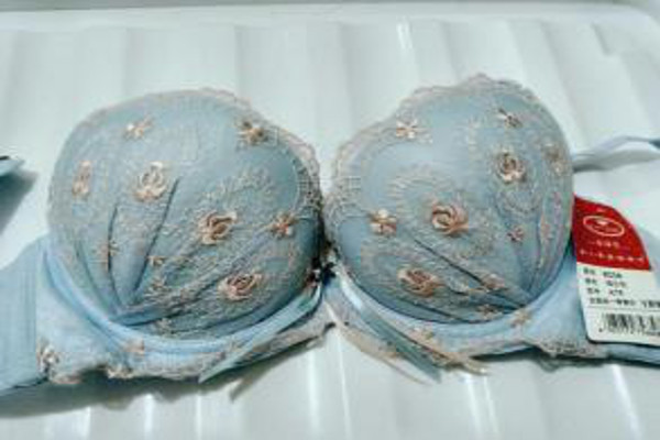 嘉诗芳内衣加盟费