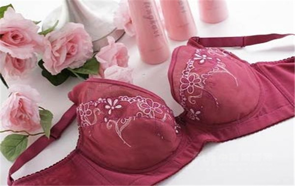 美婷娜内衣加盟费