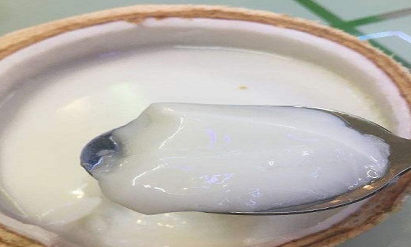 椰乡炖品加盟费要多少钱？