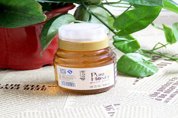 蜂力奇蜂蜜加盟