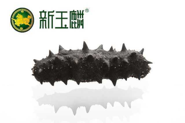 新玉麟海参加盟费