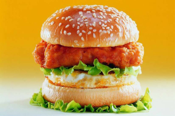 哈比乐汉堡加盟费