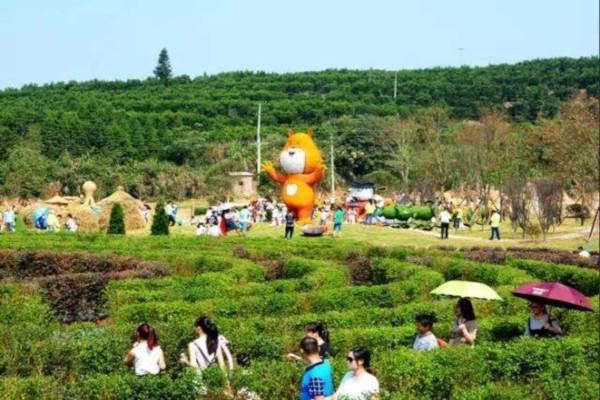 亲子乐园加盟费