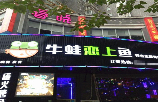 牛蛙恋上鱼加盟费