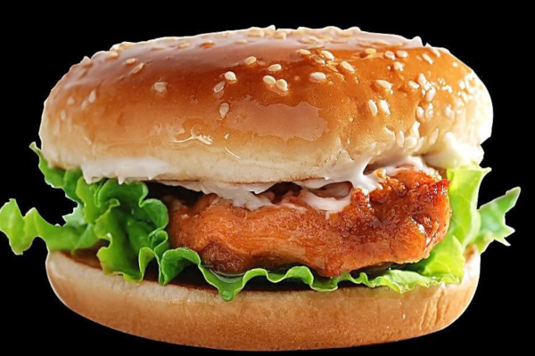 乐佰士汉堡加盟