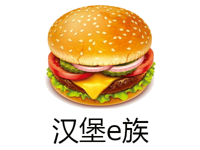 汉堡e族加盟