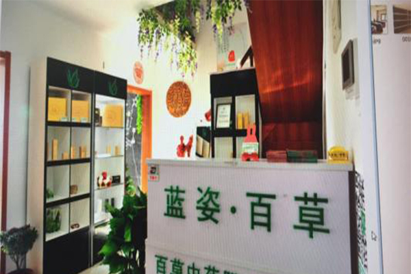 蓝姿百草加盟费