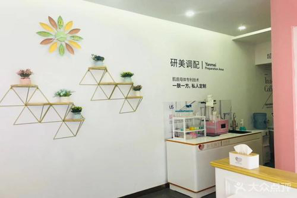 时光向左研美社加盟费