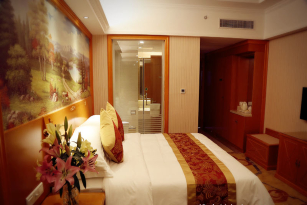 维也纳智好酒店加盟