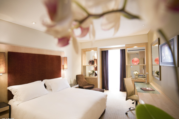 世纪泰达酒店加盟费