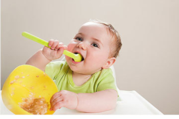 爱迪娃婴儿食品加盟费