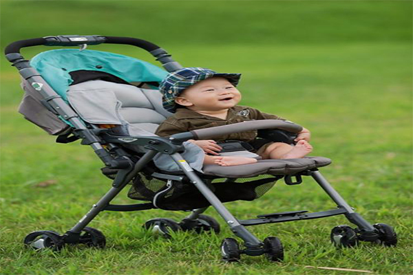 Dsscfcs婴儿推车加盟费