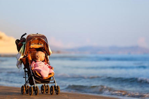 Dsscfcs婴儿推车加盟费