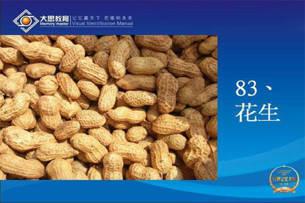 大思教育加盟门店