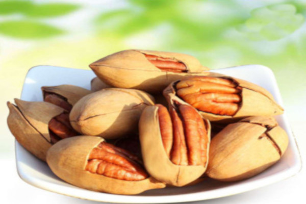 雅斯文食品加盟费