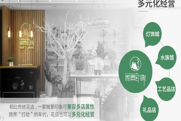 微景印象加盟_开店加盟微景印象，赚钱超级简单！