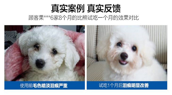 蓝氏狗粮加盟费