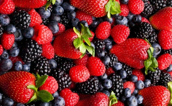 嗨果儿店加盟费