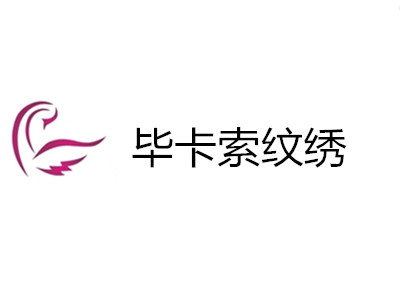 毕卡索纹绣