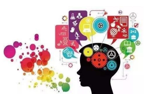 比马特全脑教育加盟