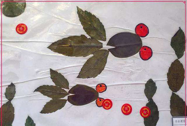 沁蕾幼儿园加盟费