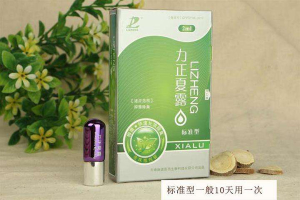 力正夏露加盟费