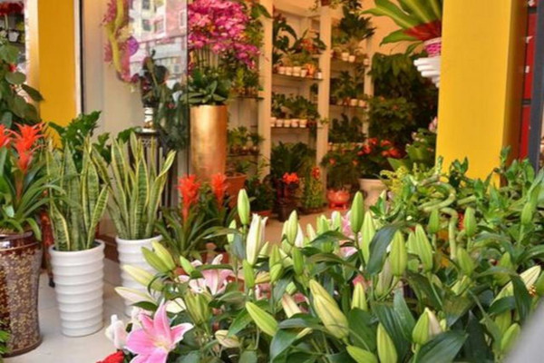 花草当家鲜花店加盟