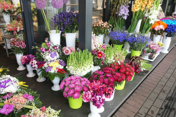 花草当家鲜花店加盟