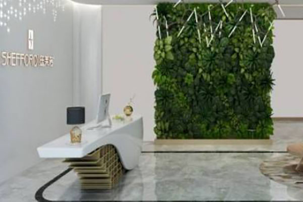 丝芙洛皮肤管理加盟费