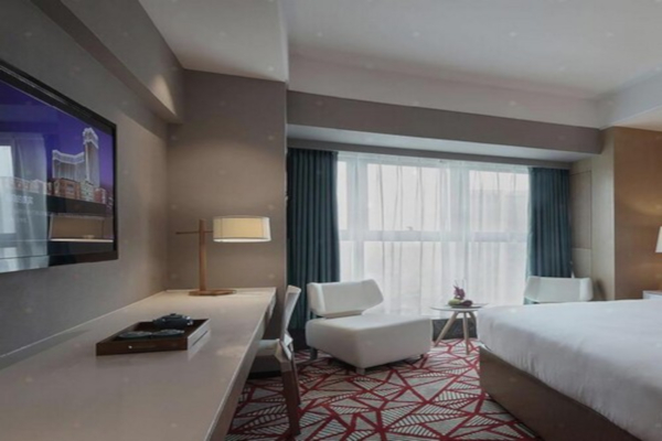 Party365主题酒店加盟店