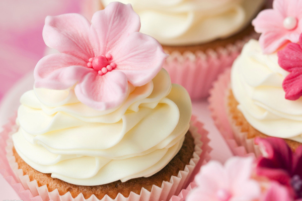 金之信蛋糕加盟费