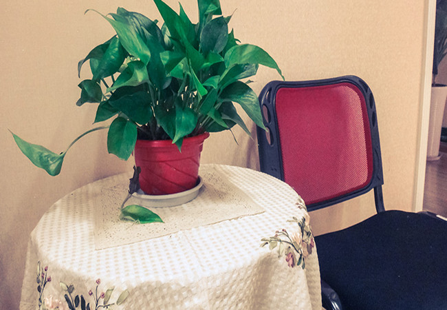 洋话连篇加盟费