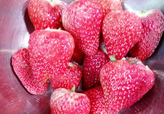 永丰乡果业加盟