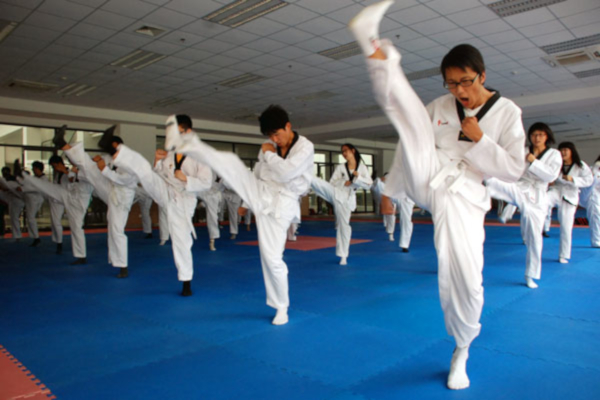 阳光跆拳道馆加盟费