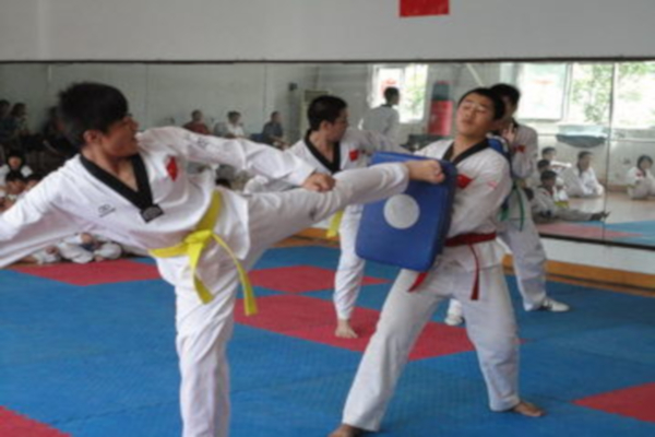 阳光跆拳道馆加盟费