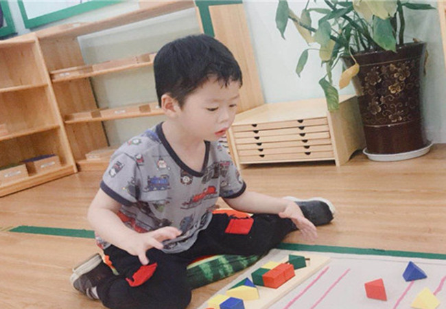 柠檬树教育加盟费