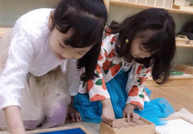 柠檬树教育加盟费