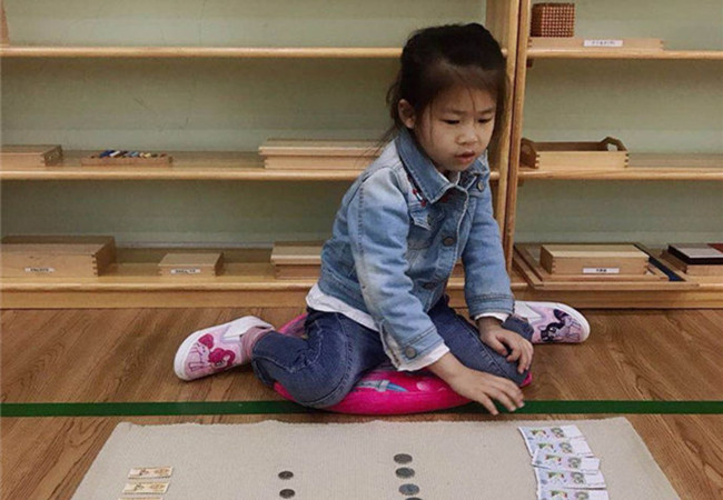 柠檬树教育加盟门店