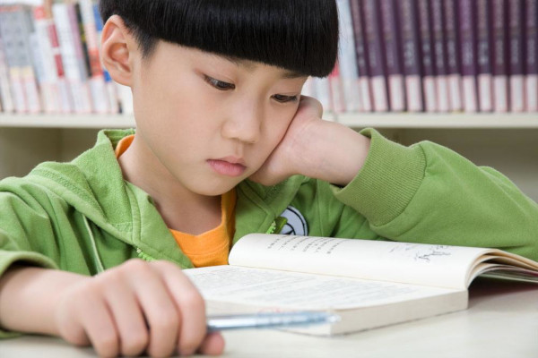 鼎尖教育加盟费