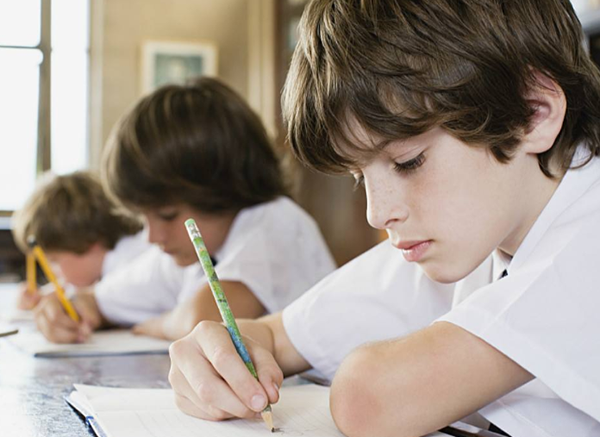 泰伦特少儿英语加盟费