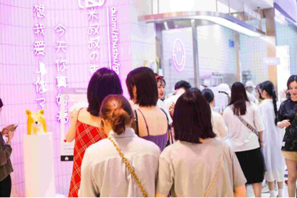 多米叔叔加盟费