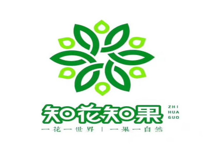 知花知果加盟费