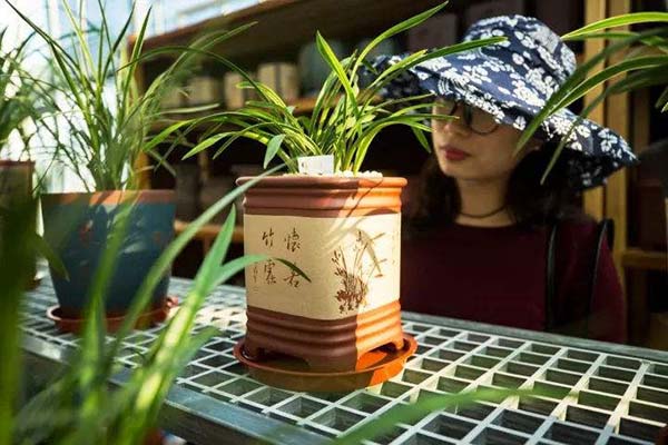 探花礼音乐餐吧加盟费