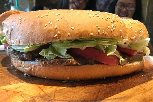 国王之宝加盟费