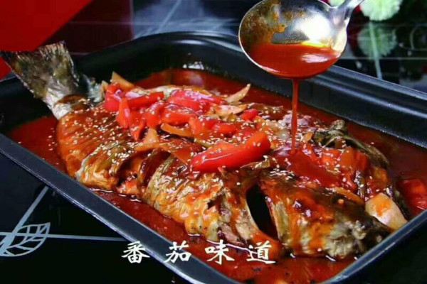 一品鱼酷加盟费