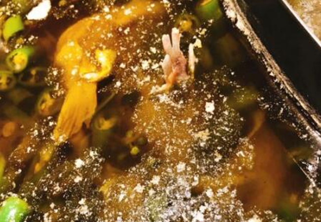 荷塘里的青椒鱼加盟费