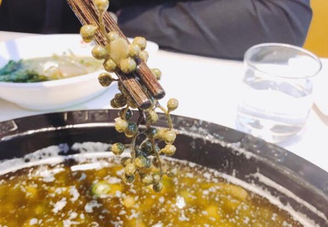 荷塘里的青椒鱼加盟费