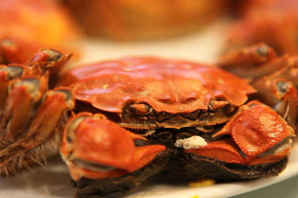 蟹行天下加盟费