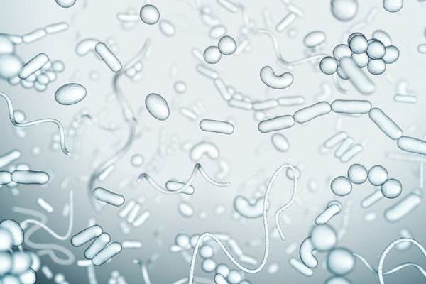 右脑时光加盟店